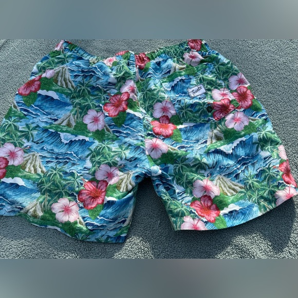 FRANKS Australia OAHU Men’s  Floral Print 6” Swim Shorts Trunks Blue/Green/Pink - Picture 2 of 9